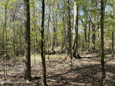 If you've been searching for an affordable piece of land with - photo 23