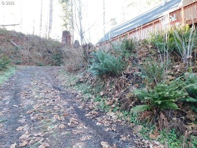 Investor's Special With A View! - photo 23
