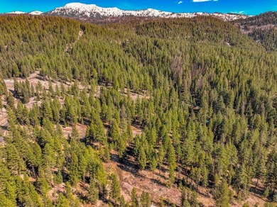 Mountain Estate lots in Jug Mountain Ranch. New homesites in - photo 24