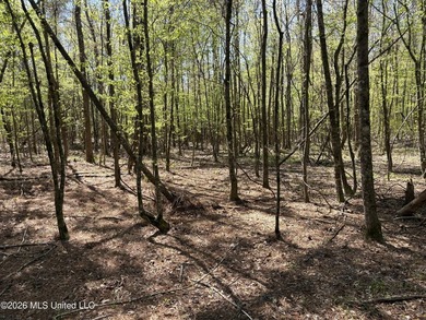 If you've been searching for an affordable piece of land with - photo 24