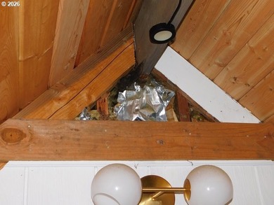 Investor's Special With A View! - photo 24