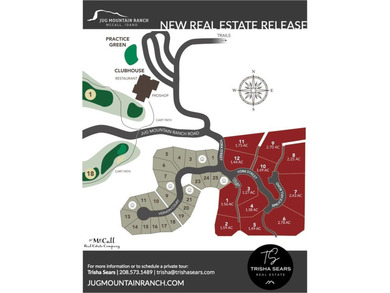 Mountain Estate lots in Jug Mountain Ranch. New homesites in - photo 25
