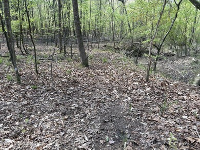 If you've been searching for an affordable piece of land with - photo 25