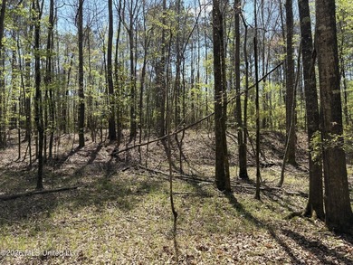 If you've been searching for an affordable piece of land with - photo 26