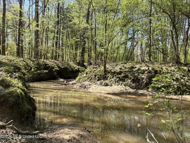 If you've been searching for an affordable piece of land with - photo 27