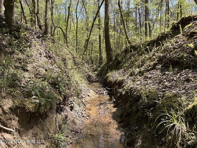 If you've been searching for an affordable piece of land with - photo 28