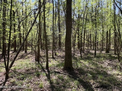 If you've been searching for an affordable piece of land with - photo 30