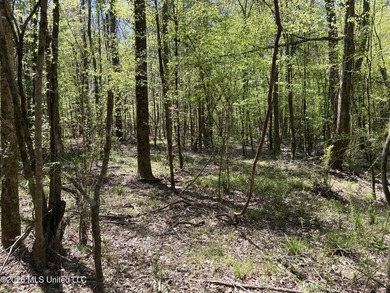 If you've been searching for an affordable piece of land with - photo 32