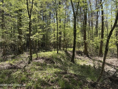 If you've been searching for an affordable piece of land with - photo 35