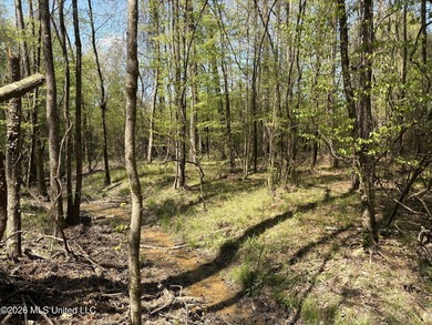 If you've been searching for an affordable piece of land with - photo 36