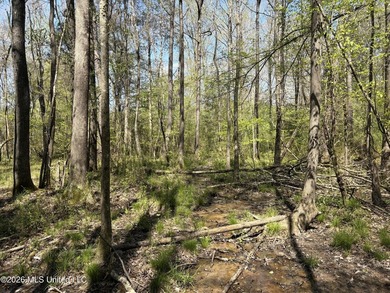 If you've been searching for an affordable piece of land with - photo 37
