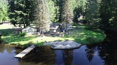 Investor's Special With A View! - photo 38