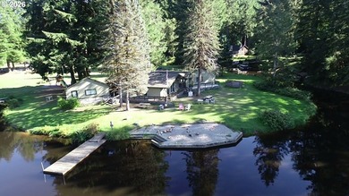 Investor's Special With A View! - photo 46
