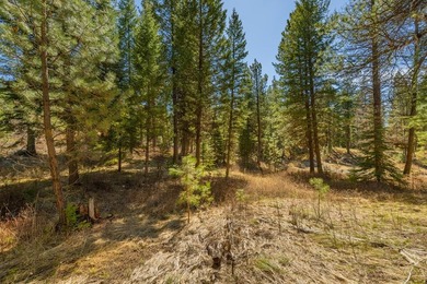 Mountain Estate lots in Jug Mountain Ranch. New homesites in - photo 12