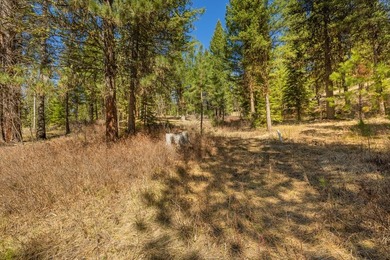 Mountain Estate lots in Jug Mountain Ranch. New homesites in - photo 14