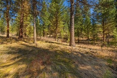 Mountain Estate lots in Jug Mountain Ranch. New homesites in - photo 15