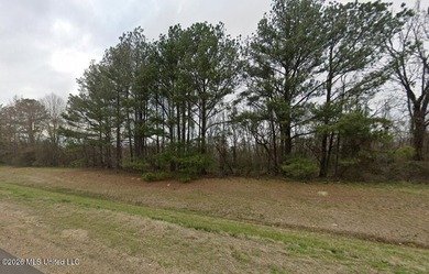 C-3 Commercial land with great frontage! Check out this - photo 5