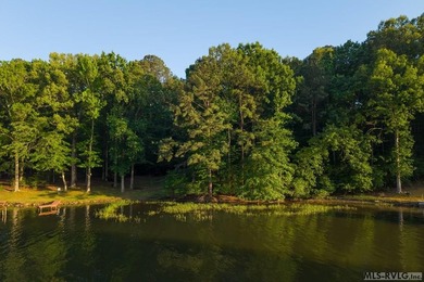 Moderately wooded waterfront lot with plenty of natural light - photo 5