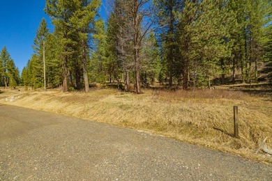 Mountain Estate lots in Jug Mountain Ranch. New homesites in - photo 16