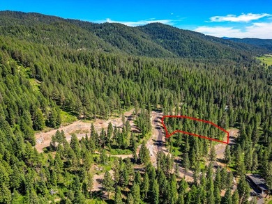Mountain Estate lots in Jug Mountain Ranch. New homesites in - photo 18