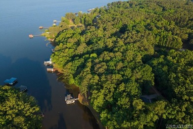 Moderately wooded waterfront lot with plenty of natural light - photo 8