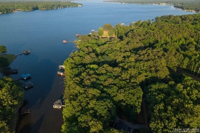 Moderately wooded waterfront lot with plenty of natural light - photo 9