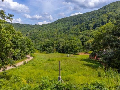 Lake Acreage For Sale in Canton, North Carolina
