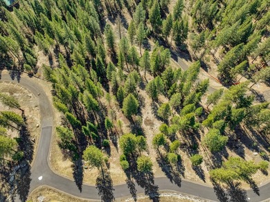 Mountain Estate lots in Jug Mountain Ranch. New homesites in - photo 21