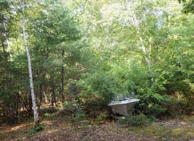 Lake Lot For Sale in Limerick, Maine