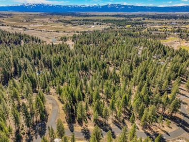 Mountain Estate lots in Jug Mountain Ranch. New homesites in - photo 22