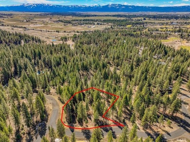 Mountain Estate lots in Jug Mountain Ranch. New homesites in - photo 23