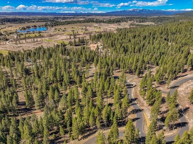 Mountain Estate lots in Jug Mountain Ranch. New homesites in - photo 24