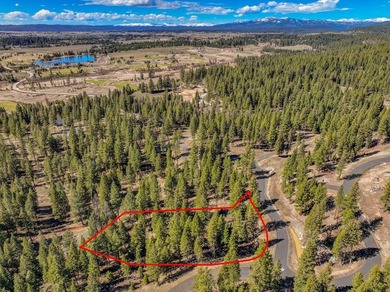 Mountain Estate lots in Jug Mountain Ranch. New homesites in - photo 25