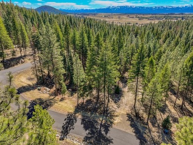 Mountain Estate lots in Jug Mountain Ranch. New homesites in - photo 26