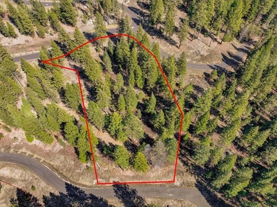 Mountain Estate lots in Jug Mountain Ranch. New homesites in - photo 28