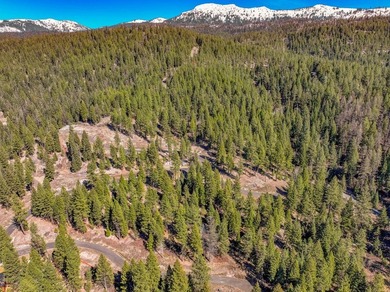 Mountain Estate lots in Jug Mountain Ranch. New homesites in - photo 29