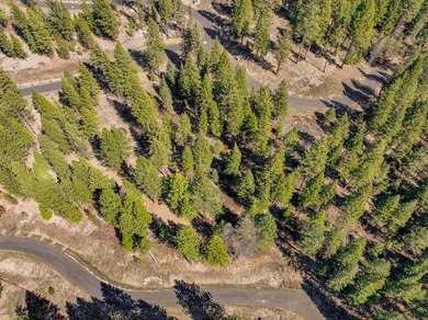 Mountain Estate lots in Jug Mountain Ranch. New homesites in - photo 31