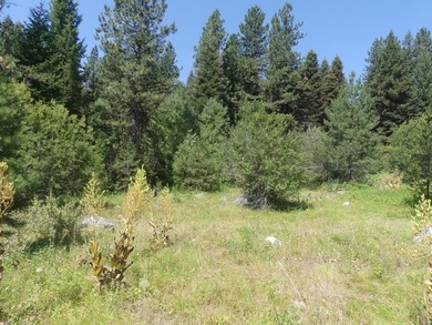 Payette Lake Lot For Sale in Mccall Idaho