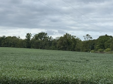 Lake Acreage For Sale in Reading, Michigan