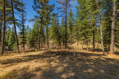 Mountain Estate lots in Jug Mountain Ranch. New homesites in - photo 11