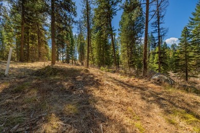 Mountain Estate lots in Jug Mountain Ranch. New homesites in - photo 12