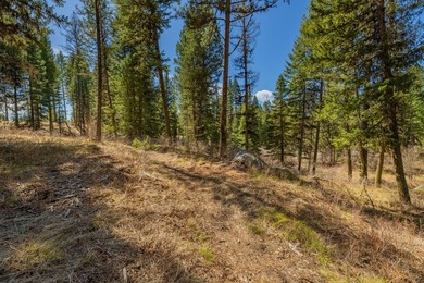 Mountain Estate lots in Jug Mountain Ranch. New homesites in - photo 13