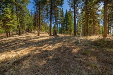 Mountain Estate lots in Jug Mountain Ranch. New homesites in - photo 14