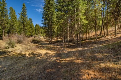 Mountain Estate lots in Jug Mountain Ranch. New homesites in - photo 15