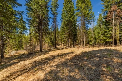 Mountain Estate lots in Jug Mountain Ranch. New homesites in - photo 16