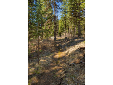Mountain Estate lots in Jug Mountain Ranch. New homesites in - photo 17