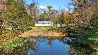 Enjoy quiet country living in this cozy, updated 4-bedroom - photo 17