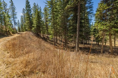 Mountain Estate lots in Jug Mountain Ranch. New homesites in - photo 18