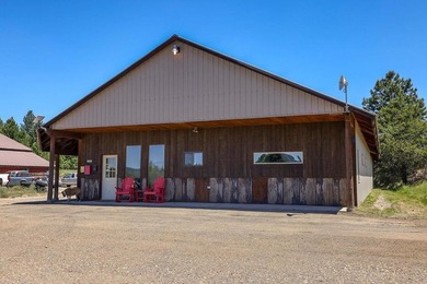 Payette Lake Commercial For Sale in Mccall Idaho