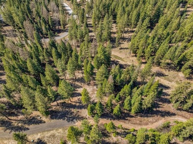 Mountain Estate lots in Jug Mountain Ranch. New homesites in - photo 21